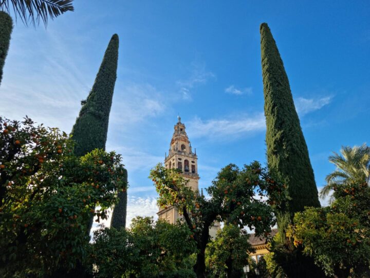 MoscheaCattedrale di Cordoba